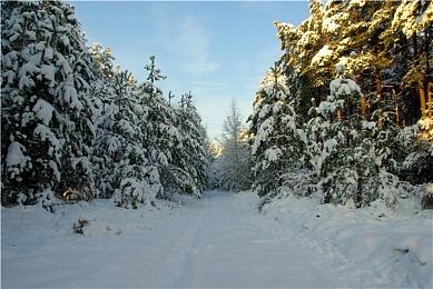 《遗迹2》新补丁优化全局性能表现并修复多处BUG