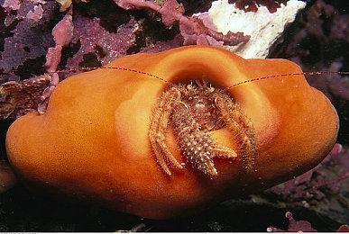 《霍格沃茨之遗》媒体评分解禁 IGN 9分好评